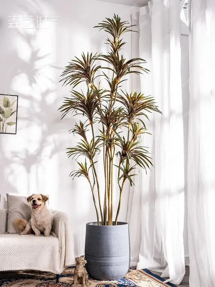 Drácena de Simulación, Drácena - Dracaena Marginata reseña y precio