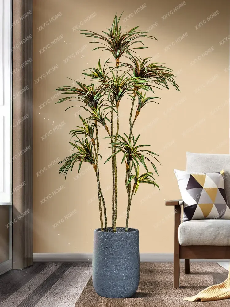 Drácena de Simulación, Drácena - Dracaena Marginata reseña y precio
