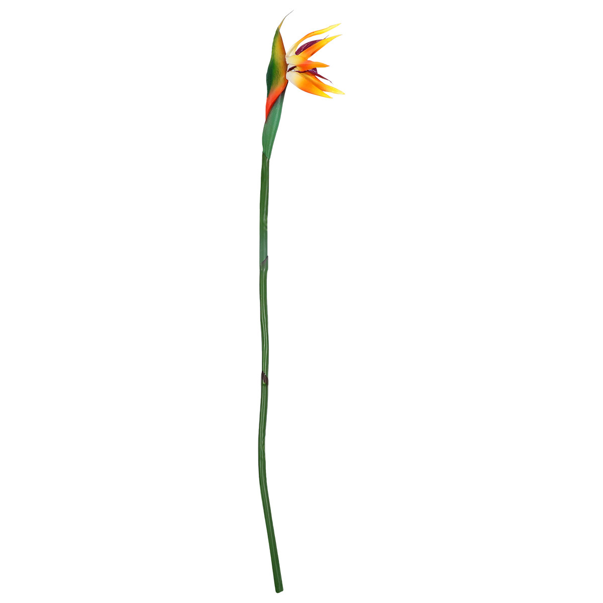 Flor Artificial de Strelitzia, - Bird Paradise Strelitzia reseña y precio
