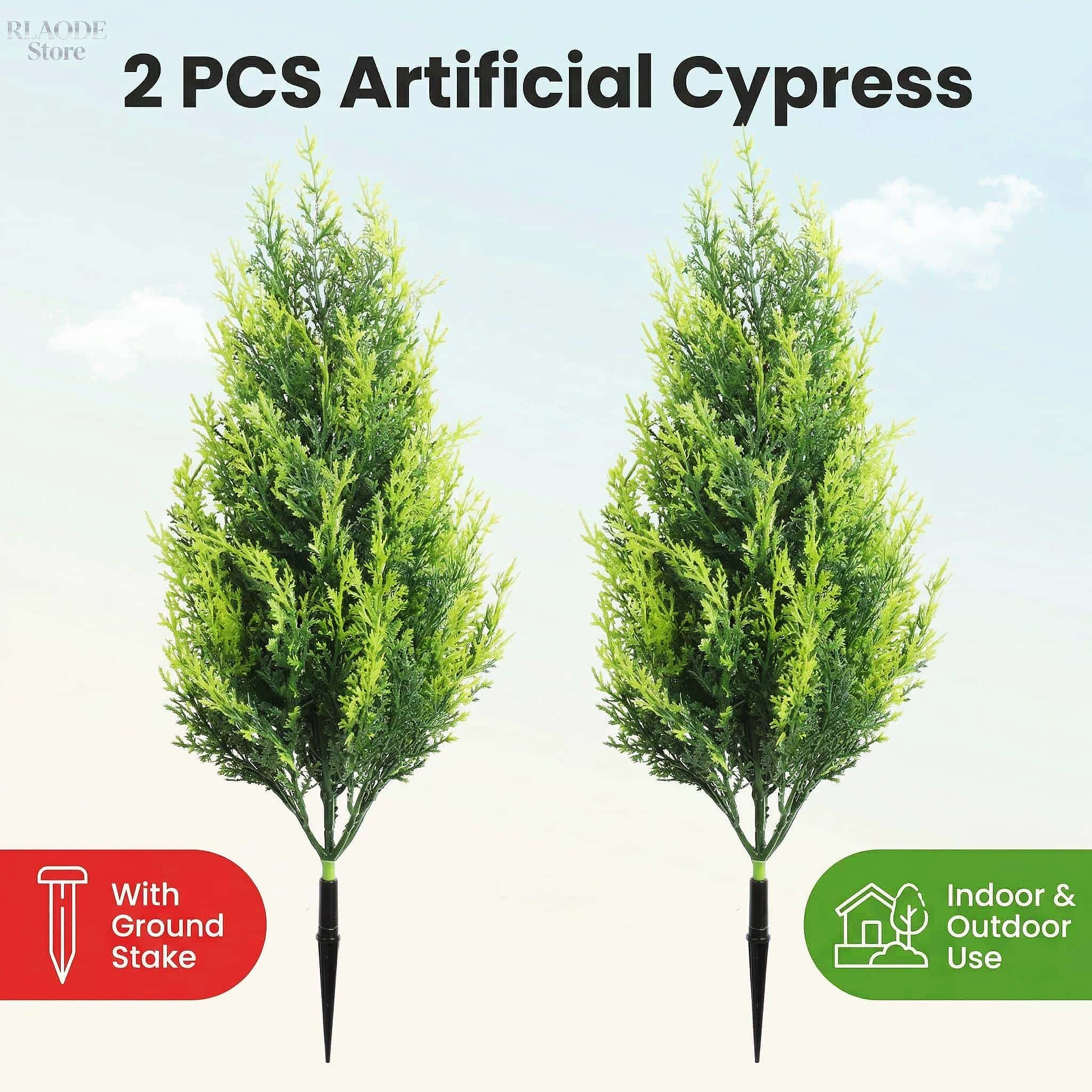2 Piezas de Ciprés y Helecho A - Dracaena Marginata reseña y precio