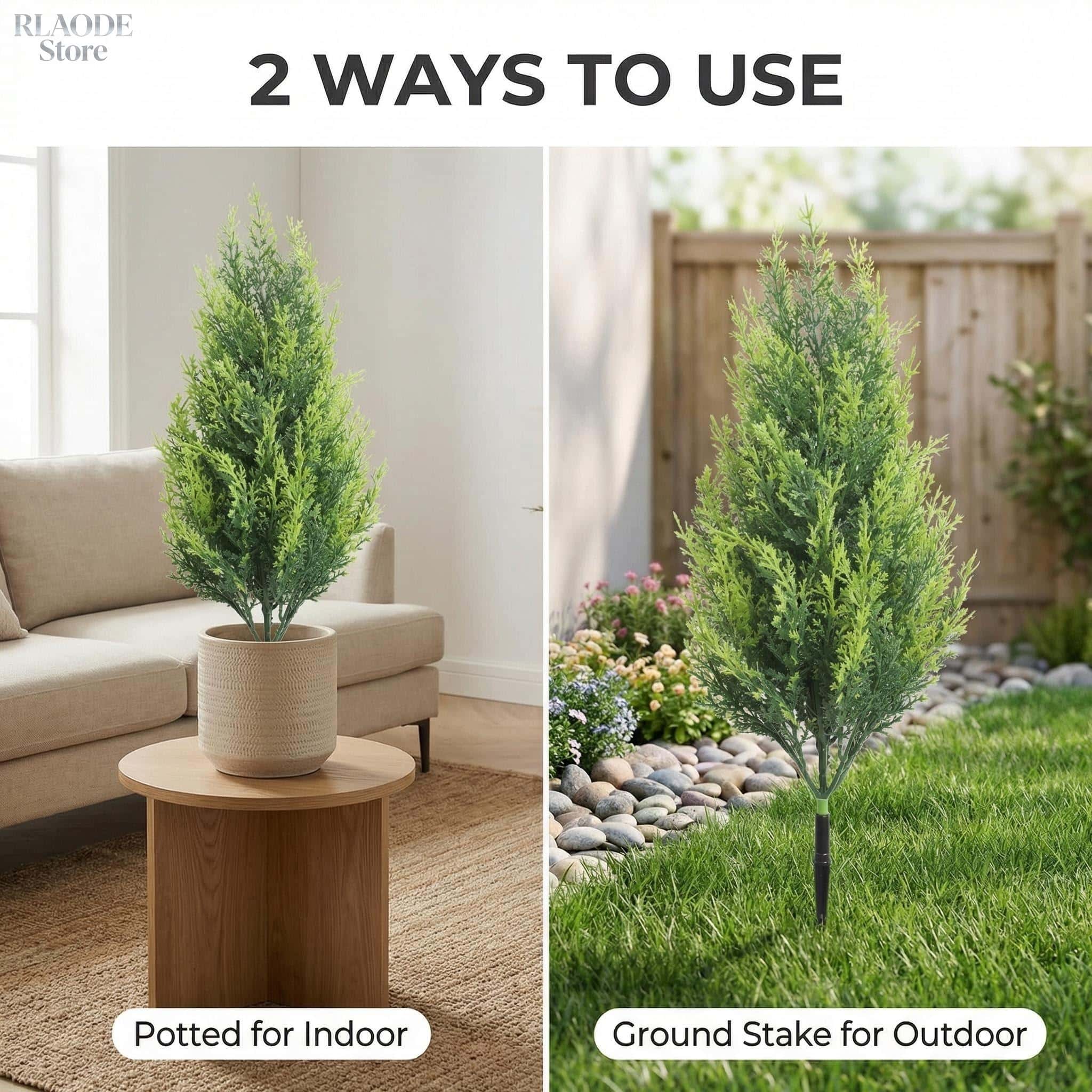 2 Piezas de Ciprés y Helecho A - Dracaena Marginata reseña y precio
